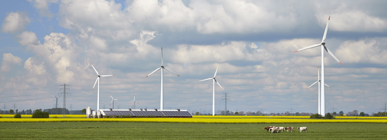 Windräder (Foto: Schleswig-Holstein Netz)