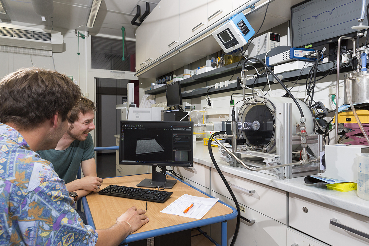 Elektrisierende Bakterienfarm